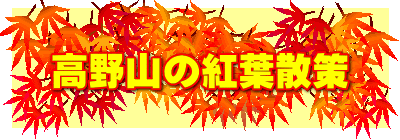 高野山の紅葉散策