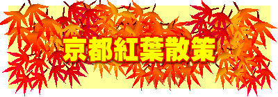 京都紅葉散策