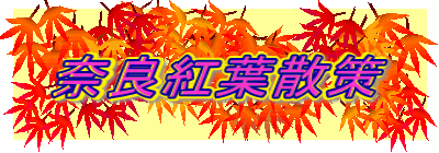 奈良紅葉散策