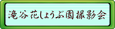 滝谷花しょうぶ園撮影会