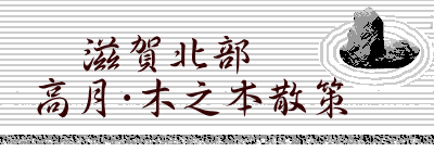 　滋賀北部 高月・木之本散策　