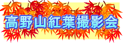 高野山紅葉撮影会