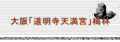 大阪「道明寺天満宮」梅林