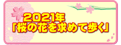 　２０２１年 「桜の花を求めて歩く」