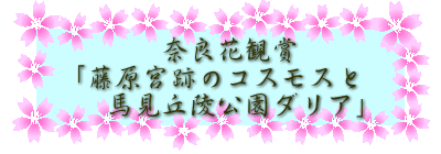 　　　奈良花観賞 「藤原宮跡のコスモスと 　馬見丘陵公園ダリア」