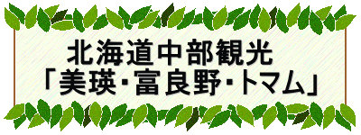 　北海道中部観光 「美瑛・富良野・トマム」