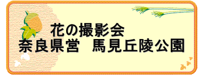 　　　花の撮影会 奈良県営　馬見丘陵公園