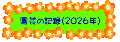 園芸の記録(2026年)