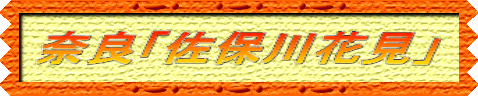 奈良「佐保川花見」