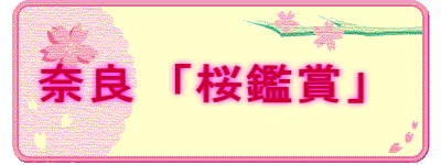 奈良　「桜鑑賞」　