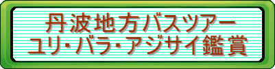 　丹波地方バスツアー ユリ・バラ・アジサイ鑑賞