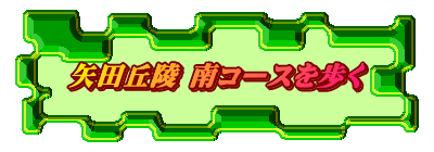 矢田丘陵 南コースを歩く